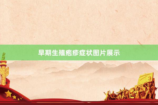 早期生殖疱疹症状图片展示